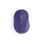 mouse hama