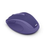 mouse hama